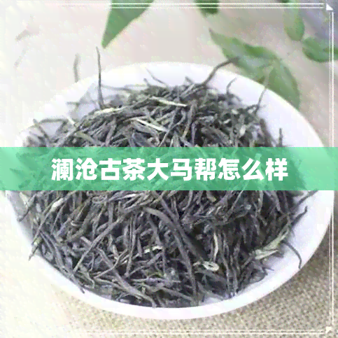 澜沧古茶大马帮怎么样