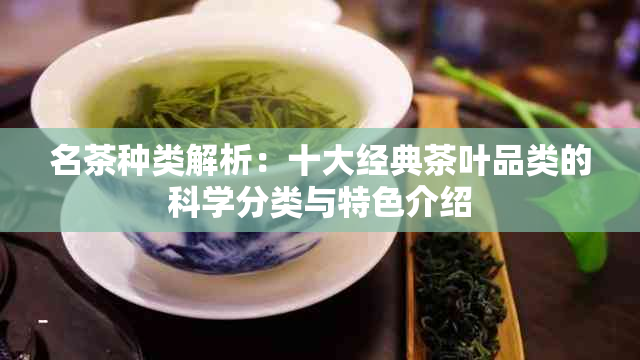 名茶种类解析：十大经典茶叶品类的科学分类与特色介绍