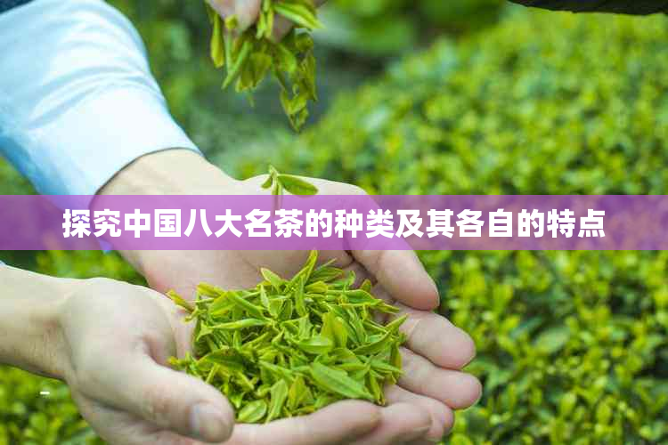 探究中国八大名茶的种类及其各自的特点