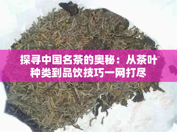 探寻中国名茶的奥秘：从茶叶种类到品饮技巧一网打尽