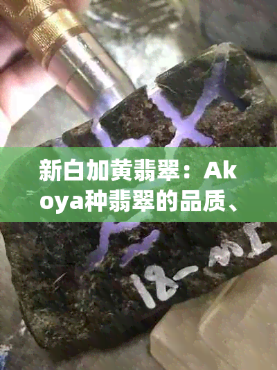 新白加黄翡翠：Akoya种翡翠的品质、市场定位与价值分析