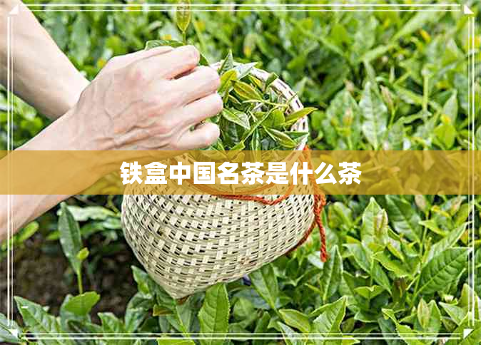 铁盒中国名茶是什么茶