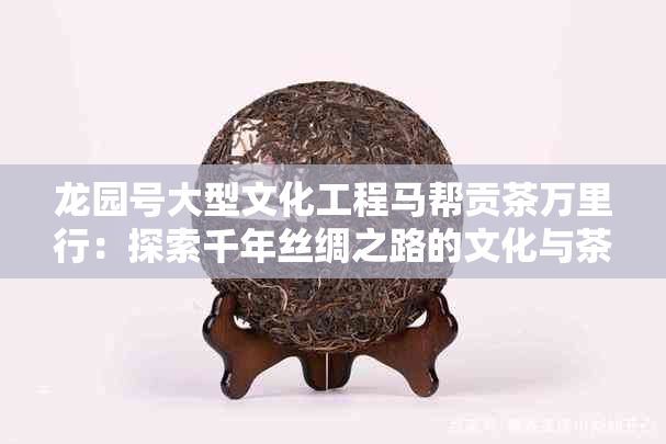 龙园号大型文化工程马帮贡茶万里行：探索千年丝绸之路的文化与茶韵