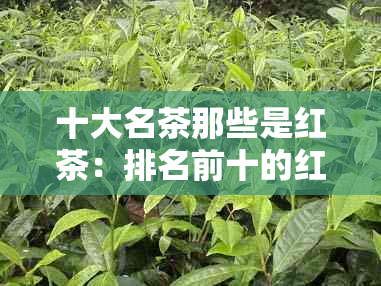 十大名茶那些是红茶：排名前十的红茶种类及特点