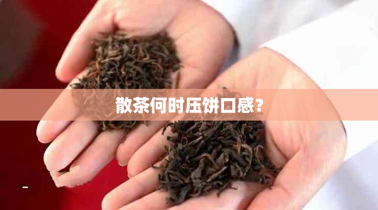 散茶何时压饼口感？