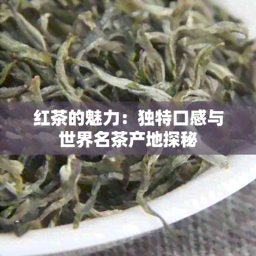 红茶的魅力：独特口感与世界名茶产地探秘