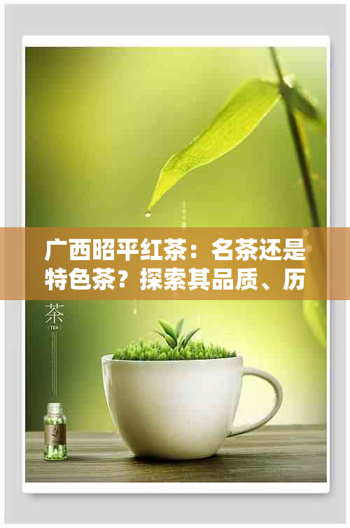 广西昭平红茶：名茶还是特色茶？探索其品质、历与产地