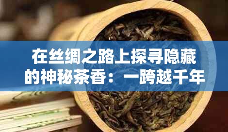 在丝绸之路上探寻隐藏的神秘茶香：一跨越千年的茶文化之旅