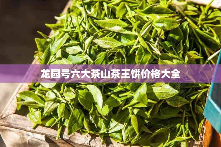 龙园号六大茶山茶王饼价格大全