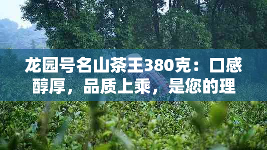 龙园号名山茶王380克：口感醇厚，品质上乘，是您的理想选择吗？