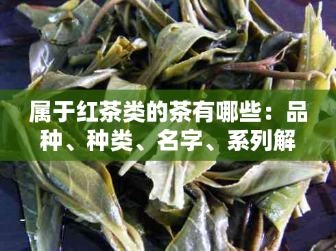 属于红茶类的茶有哪些：品种、种类、名字、系列解析