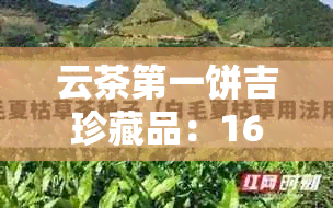 云茶之一饼吉珍藏品：16666饼，生态2004生茶，完整品鉴。