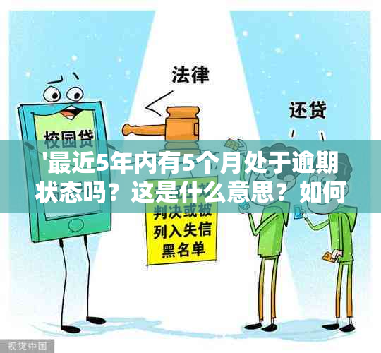 '最近5年内有5个月处于逾期状态吗？这是什么意思？如何处理？'