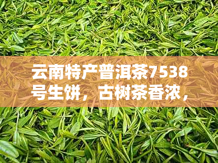 云南特产普洱茶7538号生饼，古树茶香浓，滋味醇厚回，品味经典传承