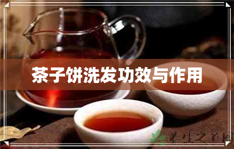 茶子饼洗发功效与作用