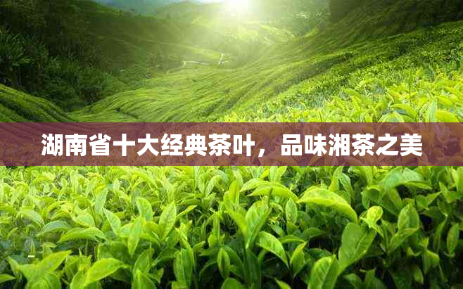 湖南省十大经典茶叶，品味湘茶之美