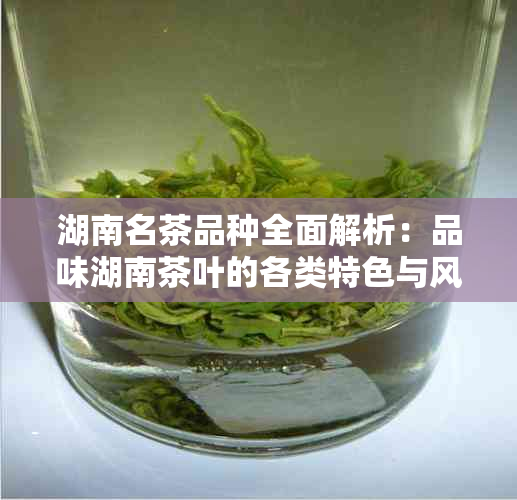 湖南名茶品种全面解析：品味湖南茶叶的各类特色与风味