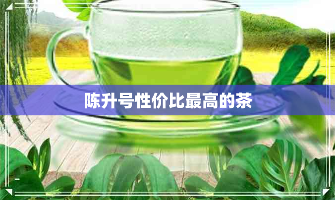 陈升号性价比更高的茶