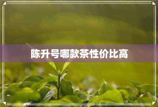 陈升号哪款茶性价比高