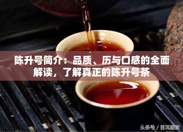 陈升号简介：品质、历与口感的全面解读，了解真正的陈升号茶