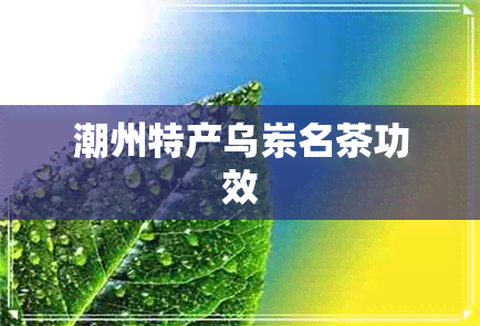 潮州特产乌岽名茶功效