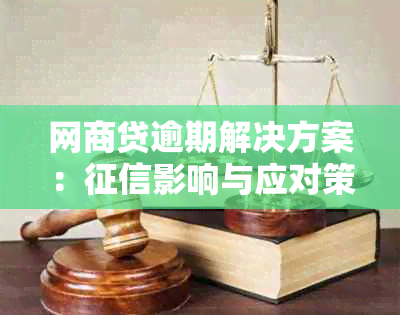 网商贷逾期解决方案：影响与应对策略