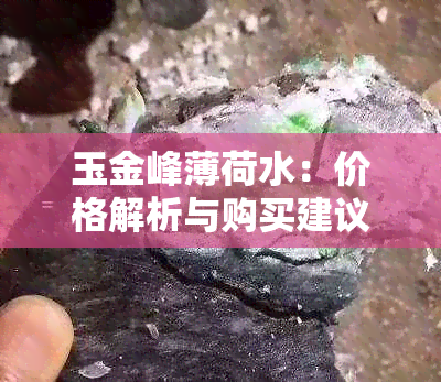 玉金峰薄荷水：价格解析与购买建议