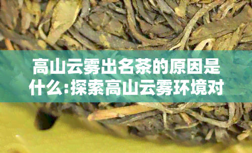 高山云雾出名茶的原因是什么:探索高山云雾环境对茶叶品质的影响及优势