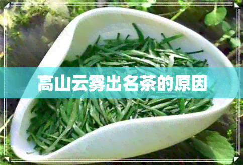 高山云雾出名茶的原因