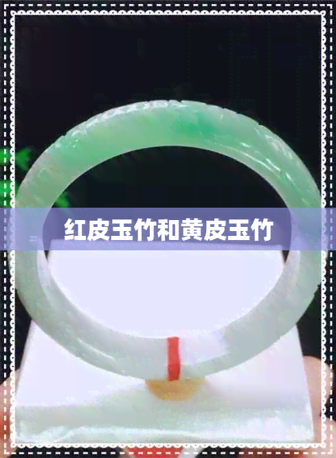 红皮玉竹和黄皮玉竹