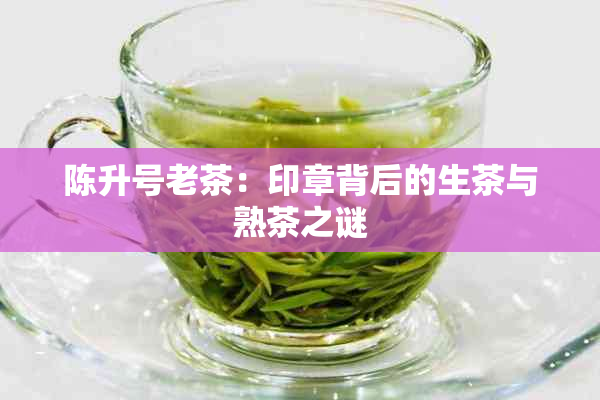 陈升号老茶：印章背后的生茶与熟茶之谜