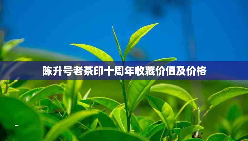 陈升号老茶印十周年收藏价值及价格