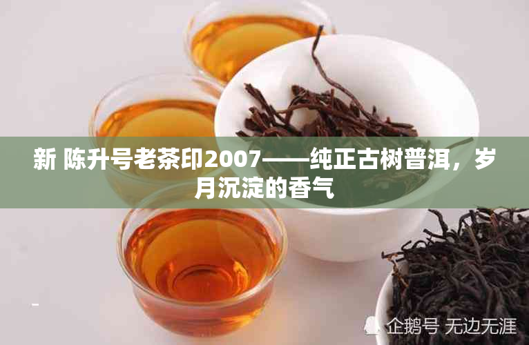 新 陈升号老茶印2007——纯正古树普洱，岁月沉淀的香气