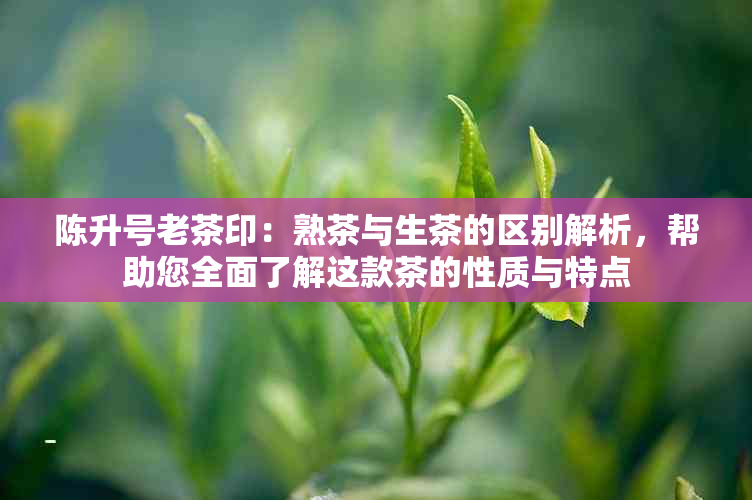 陈升号老茶印：熟茶与生茶的区别解析，帮助您全面了解这款茶的性质与特点