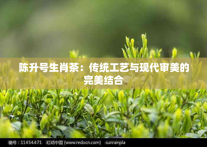 陈升号生肖茶：传统工艺与现代审美的完美结合