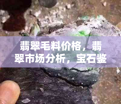 翡翠毛料价格，翡翠市场分析，宝石鉴别技巧，翡翠投资指南，翡翠饰品制作