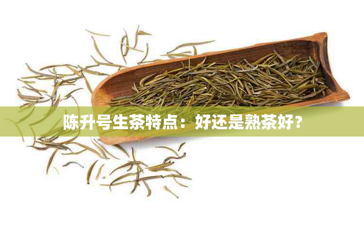 陈升号生茶特点：好还是熟茶好？