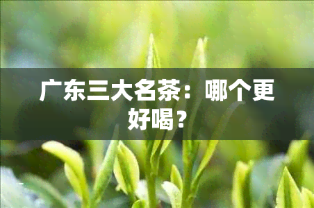 广东三大名茶：哪个更好喝？