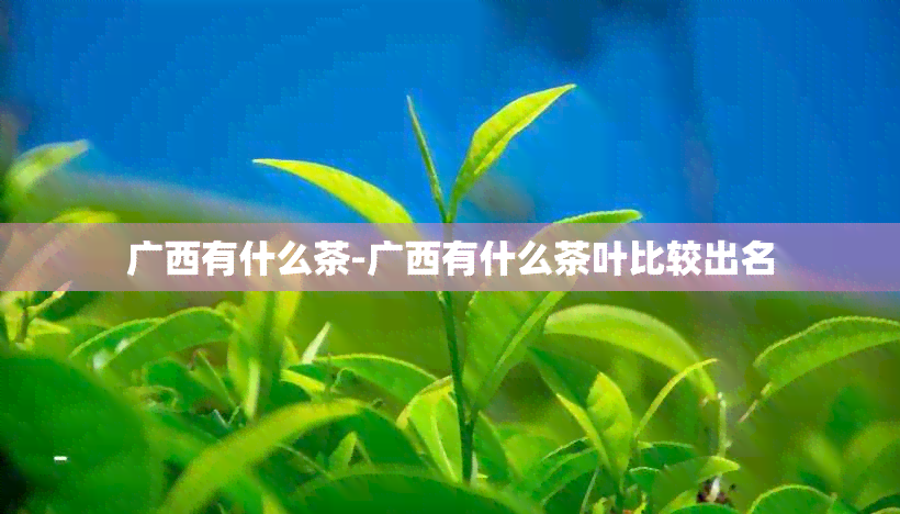 广西有什么茶-广西有什么茶叶比较出名