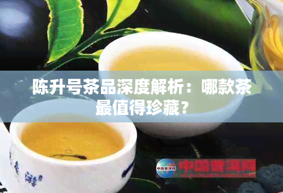 陈升号茶品深度解析：哪款茶最值得珍藏？