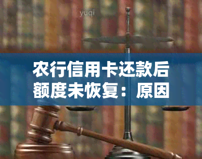 农行信用卡还款后额度未恢复：原因分析与解决策略