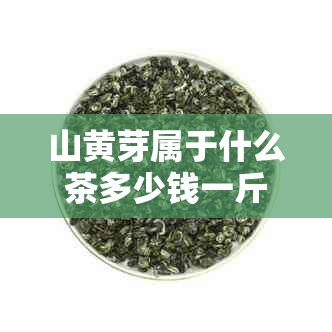 山黄芽属于什么茶多少钱一斤？它是绿茶吗？