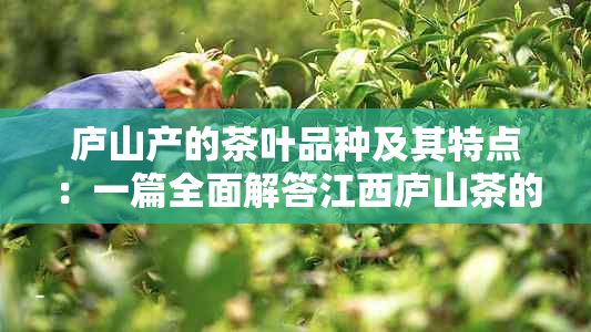 庐山产的茶叶品种及其特点：一篇全面解答江西庐山茶的多样性与价值的文章