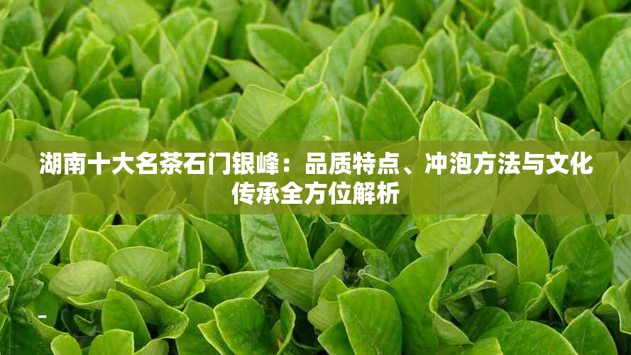 湖南十大名茶石门银峰：品质特点、冲泡方法与文化传承全方位解析