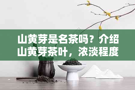 山黄芽是名茶吗？介绍山黄芽茶叶，浓淡程度以及黄茶属性。