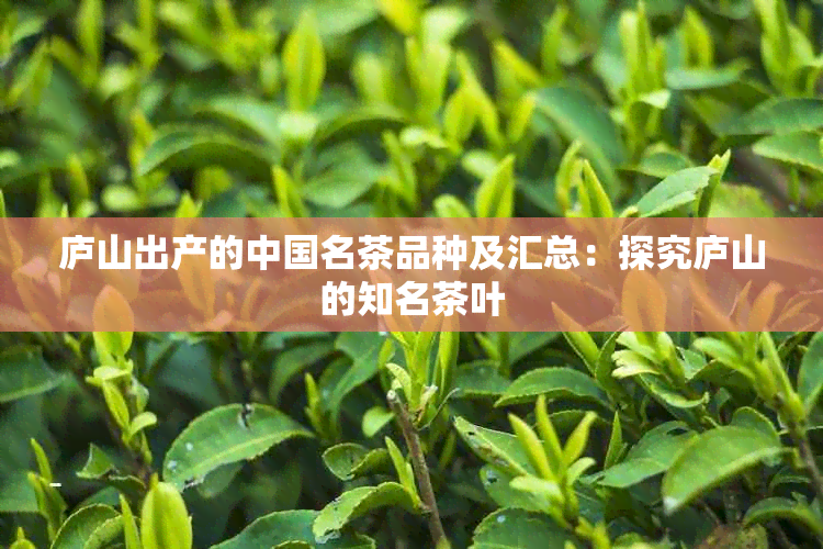 庐山出产的中国名茶品种及汇总：探究庐山的知名茶叶