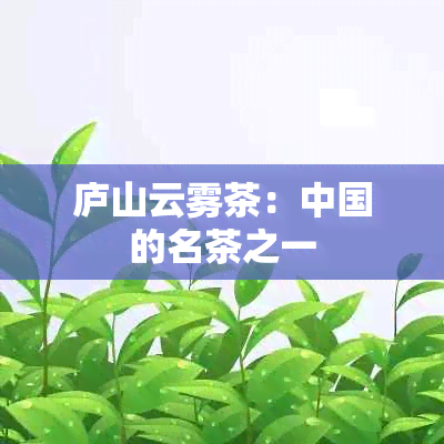 庐山云雾茶：中国的名茶之一