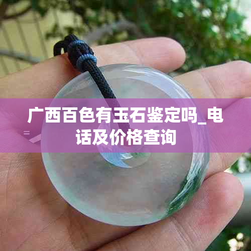 广西百色有玉石鉴定吗_电话及价格查询