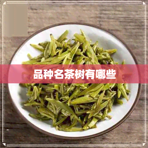 品种名茶树有哪些