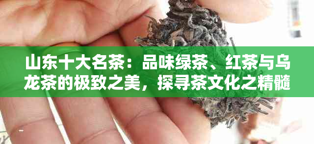 山东十大名茶：品味绿茶、红茶与乌龙茶的极致之美，探寻茶文化之精髓